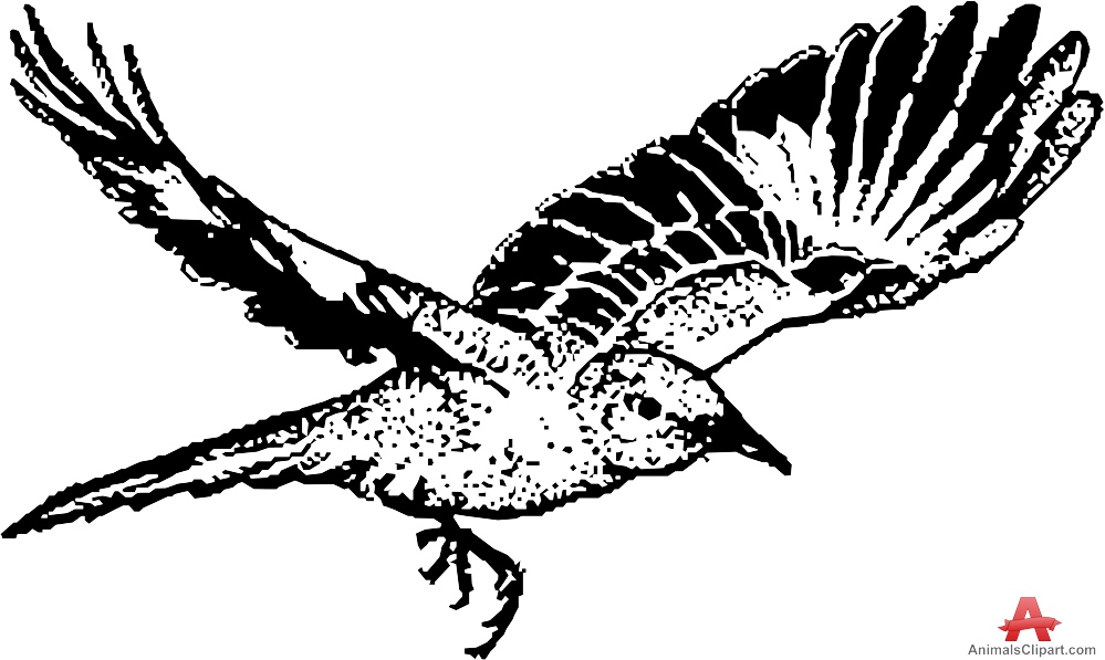 Mockingbird clipart #10, Download drawings