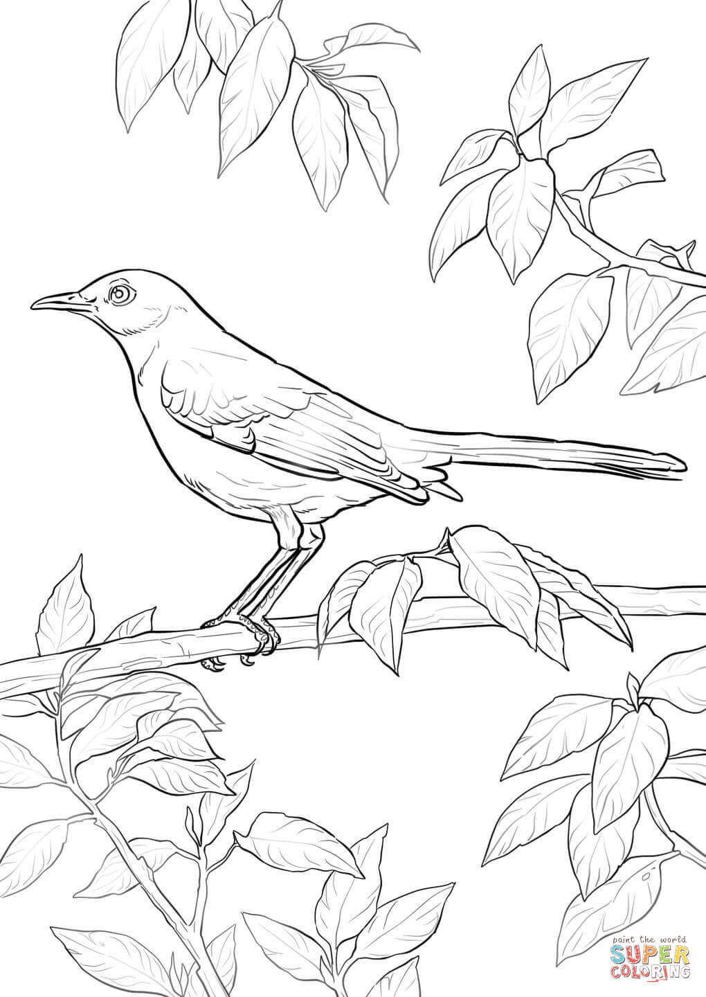 Mockingbird coloring #2, Download drawings