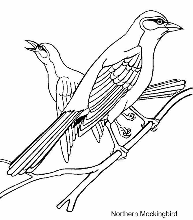 Mockingbird coloring #5, Download drawings