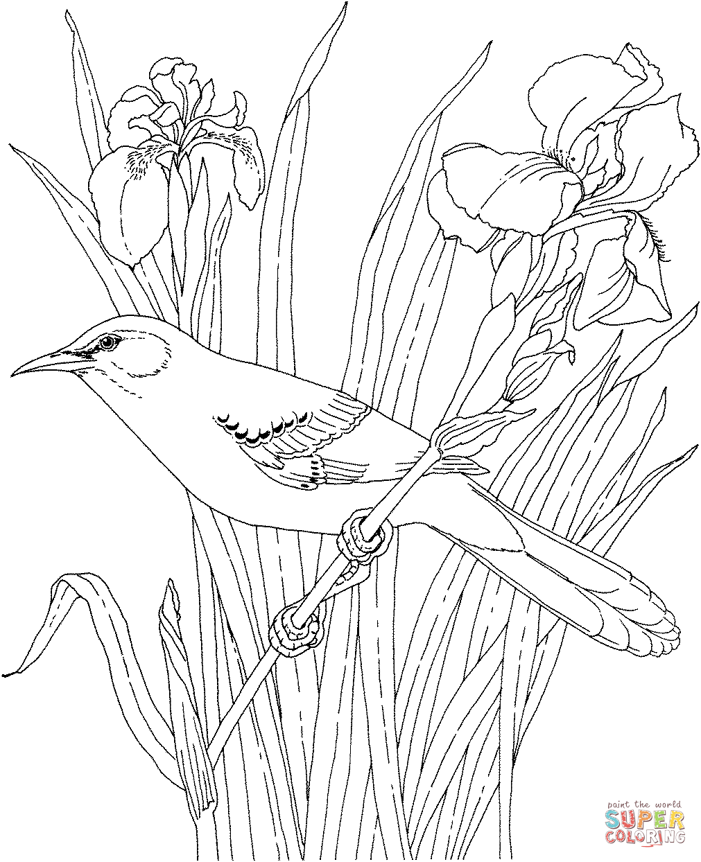 Mockingbird coloring #3, Download drawings