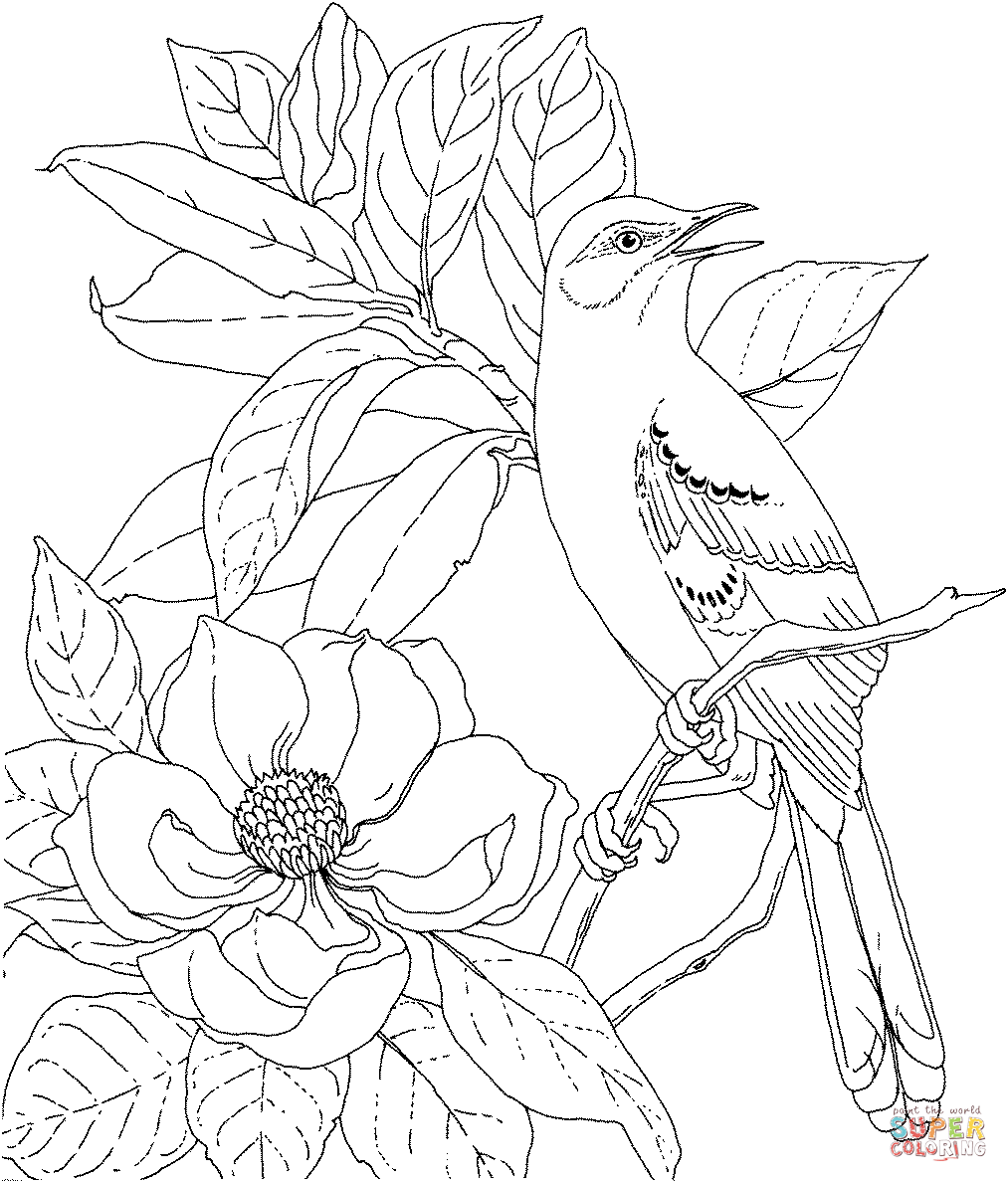 Magnolia Blossom coloring #16, Download drawings