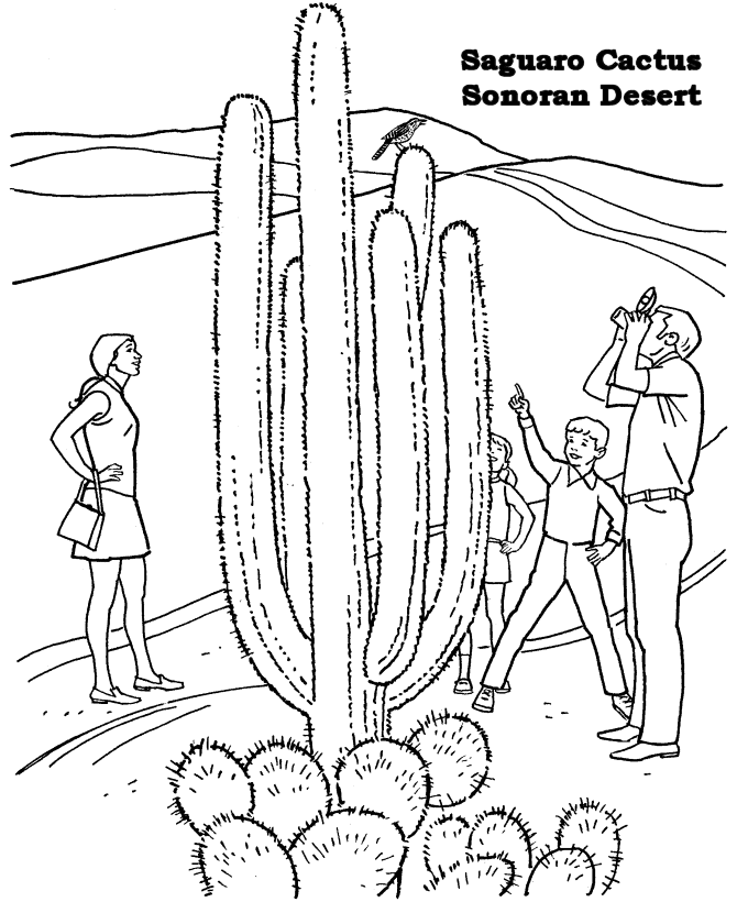 Mojave Desert coloring #6, Download drawings