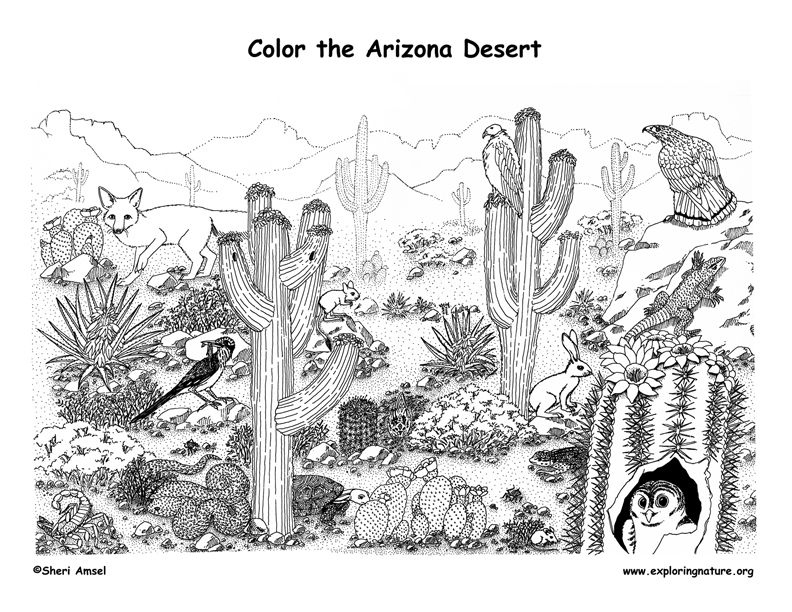 Mojave Desert coloring #11, Download drawings