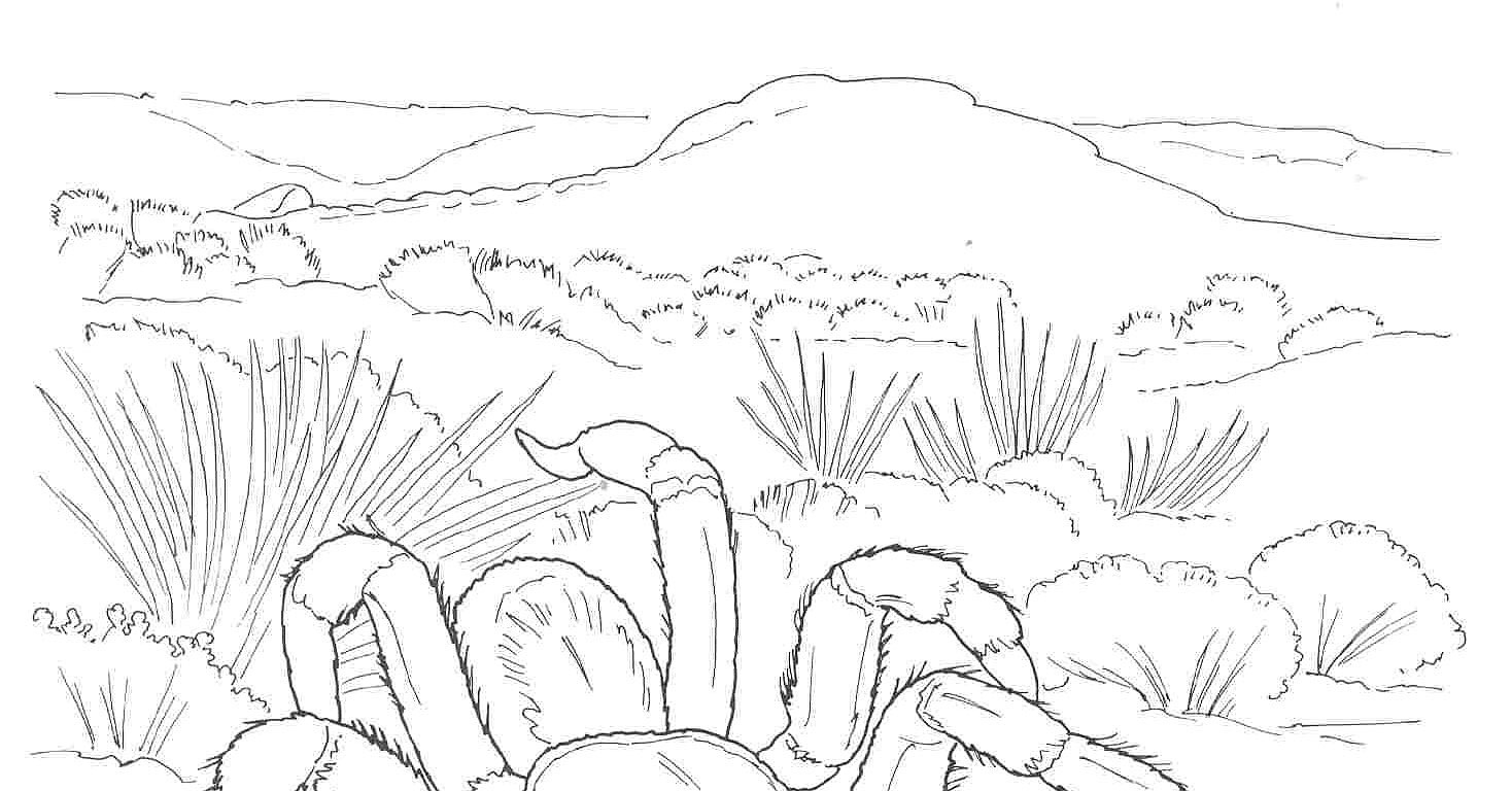 Mojave Desert coloring #12, Download drawings