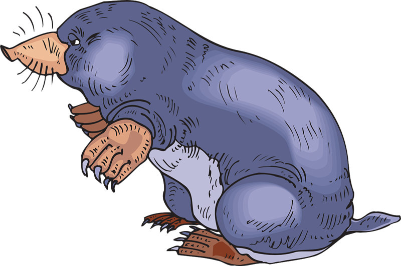 Mole clipart #18, Download drawings