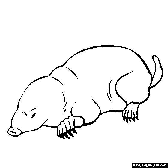 Mole coloring #2, Download drawings
