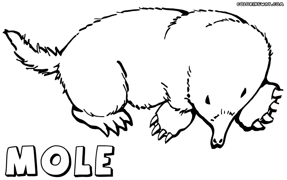 Mole coloring #3, Download drawings