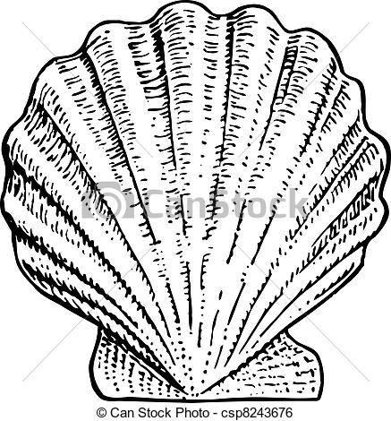 Mollusc clipart #6, Download drawings