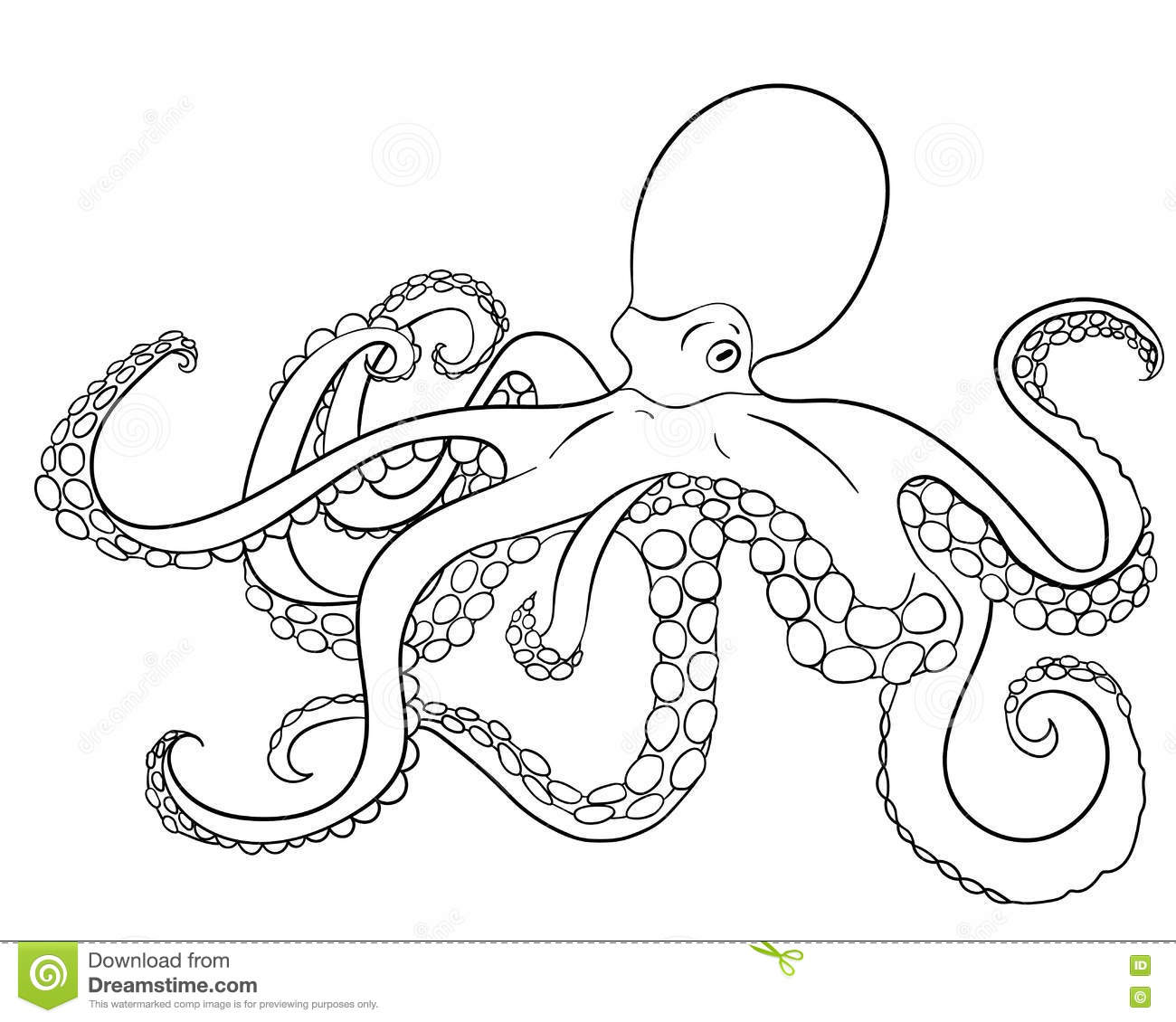 Mollusc coloring #13, Download drawings