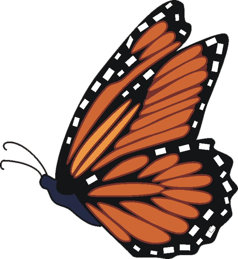 Monarch Butterfly clipart #20, Download drawings