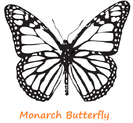 Monarch Butterfly coloring #11, Download drawings