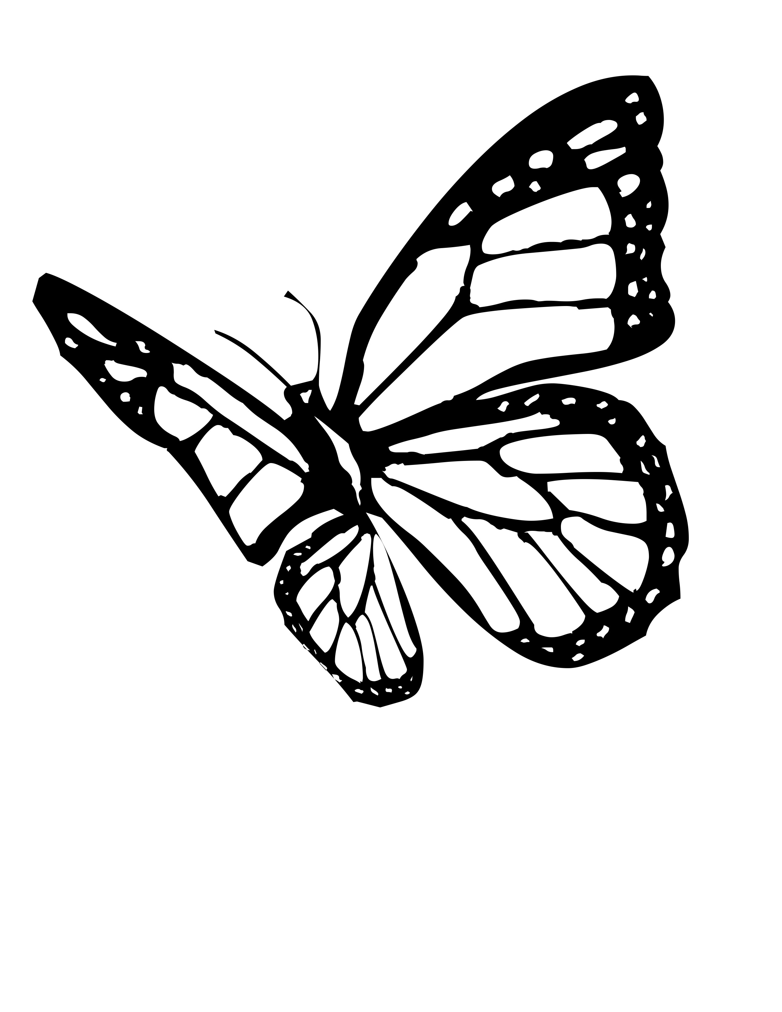 Monarch Butterfly coloring #9, Download drawings