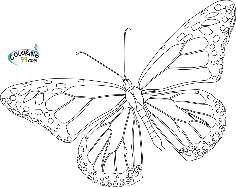 Monarch Butterfly coloring #1, Download drawings