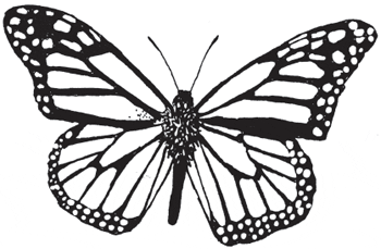 Monarch Butterfly coloring #2, Download drawings