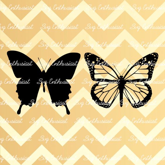 Monarch Butterfly svg #5, Download drawings