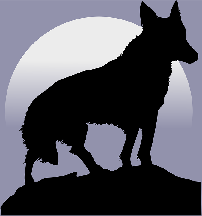 Mongolian Wolf clipart #4, Download drawings