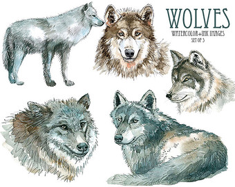 Mongolian Wolf clipart #12, Download drawings