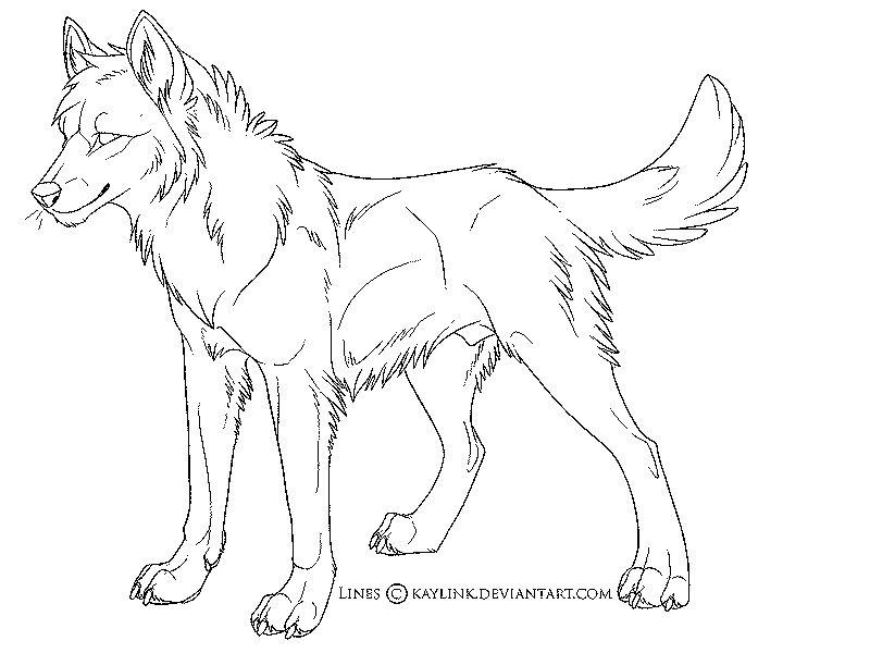 Mongolian Wolf coloring #3, Download drawings