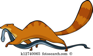 Mongoose clipart #19, Download drawings