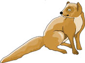 Mongoose clipart #16, Download drawings