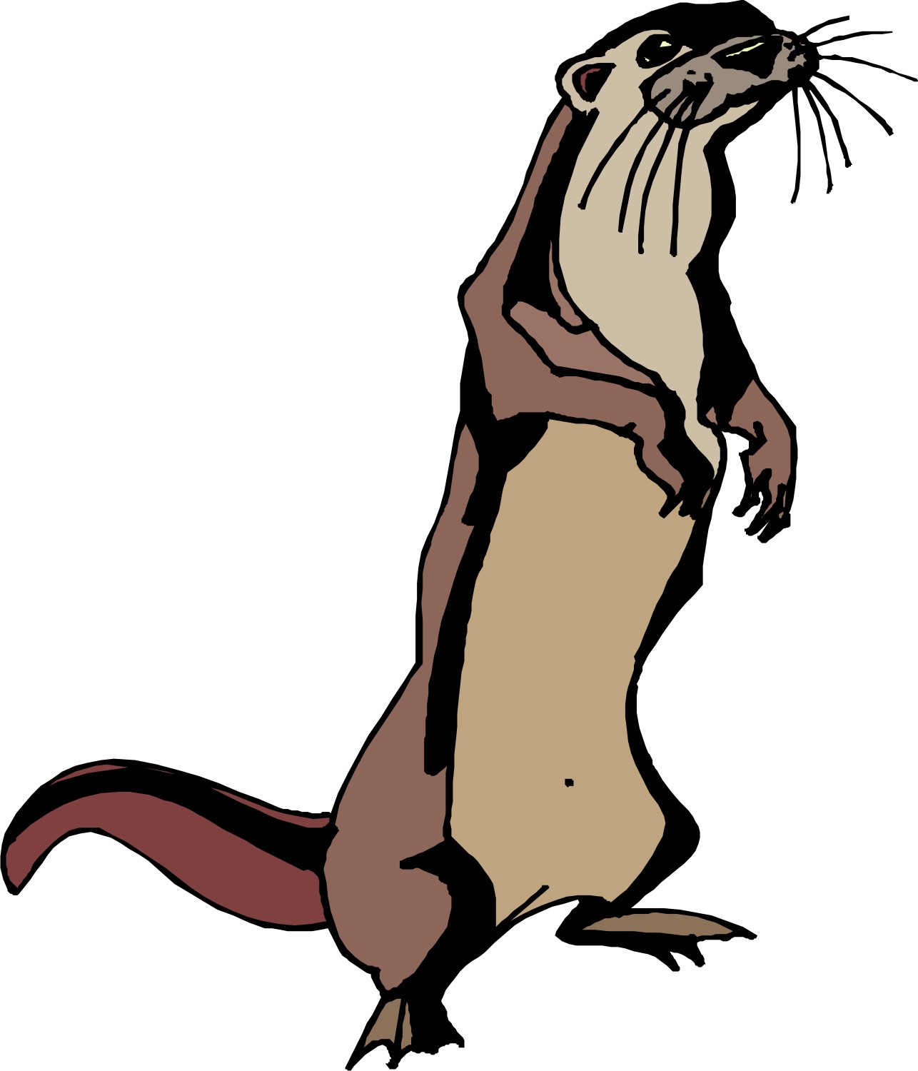 Mongoose clipart #1, Download drawings