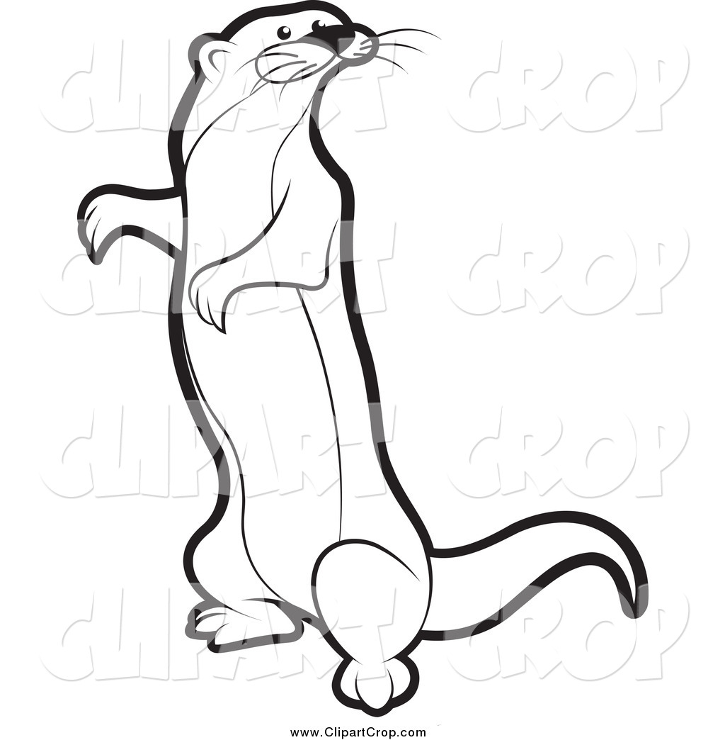 Mongoose clipart #2, Download drawings