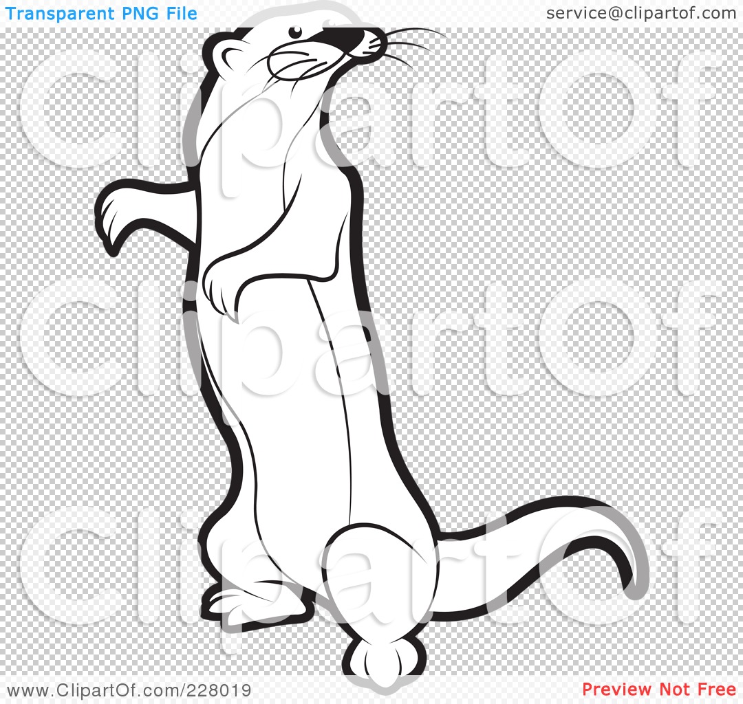 Mongoose coloring #2, Download drawings