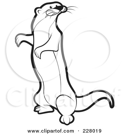 Mongoose coloring #4, Download drawings