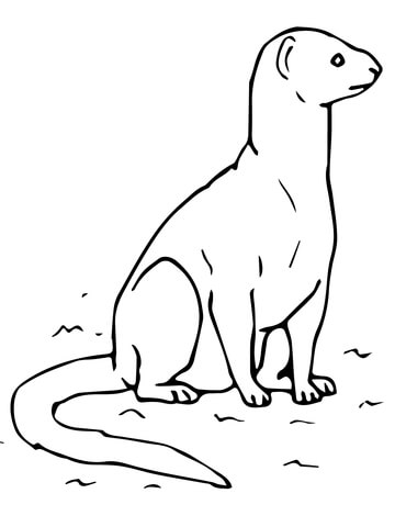 Mongoose coloring #3, Download drawings