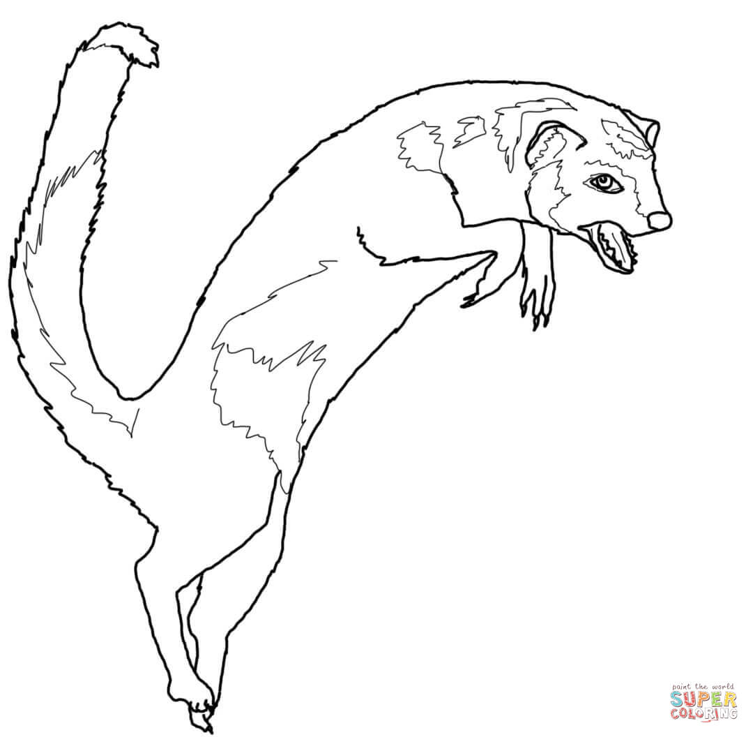 Yellow Mongoose coloring #17, Download drawings
