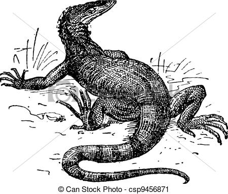 Monitor Lizard clipart #17, Download drawings