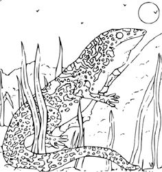 Monitor Lizard coloring #10, Download drawings