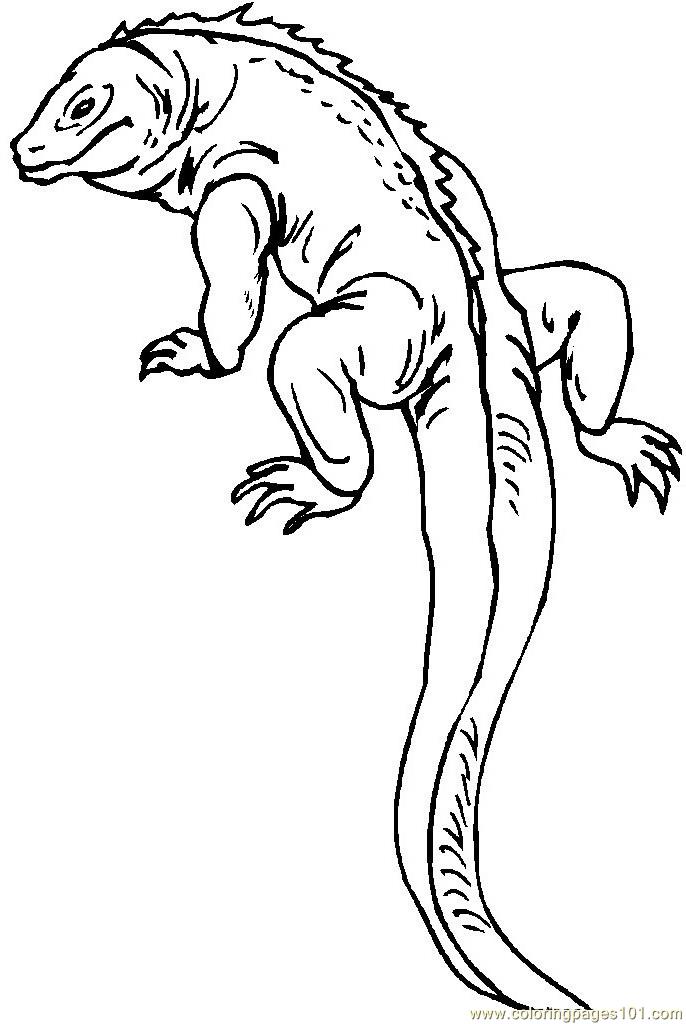 Monitor Lizard coloring #9, Download drawings