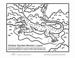 Monitor Lizard coloring #14, Download drawings