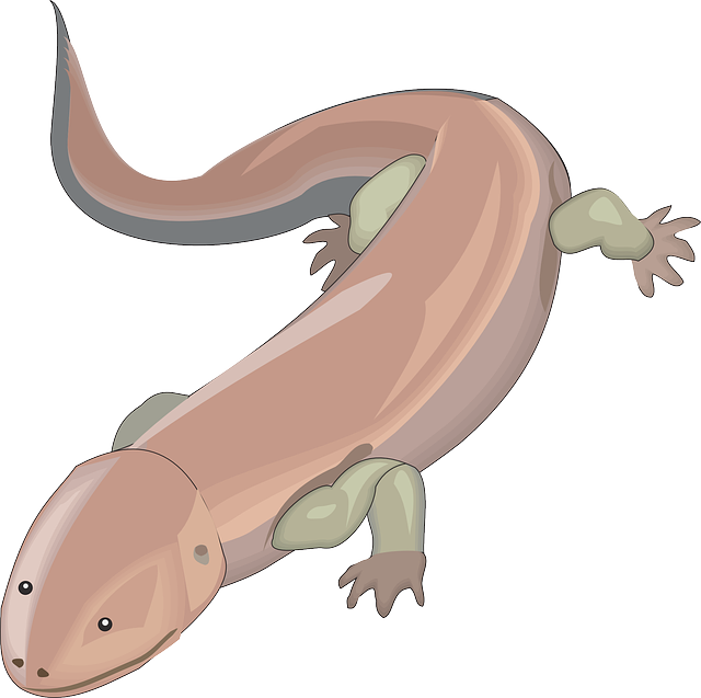 Monitor Lizard svg #7, Download drawings