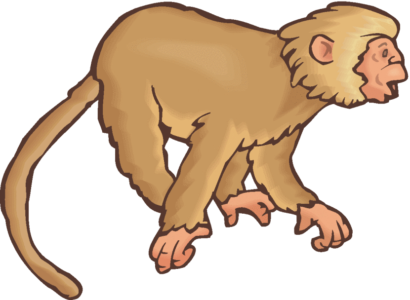 Monkey clipart #7, Download drawings