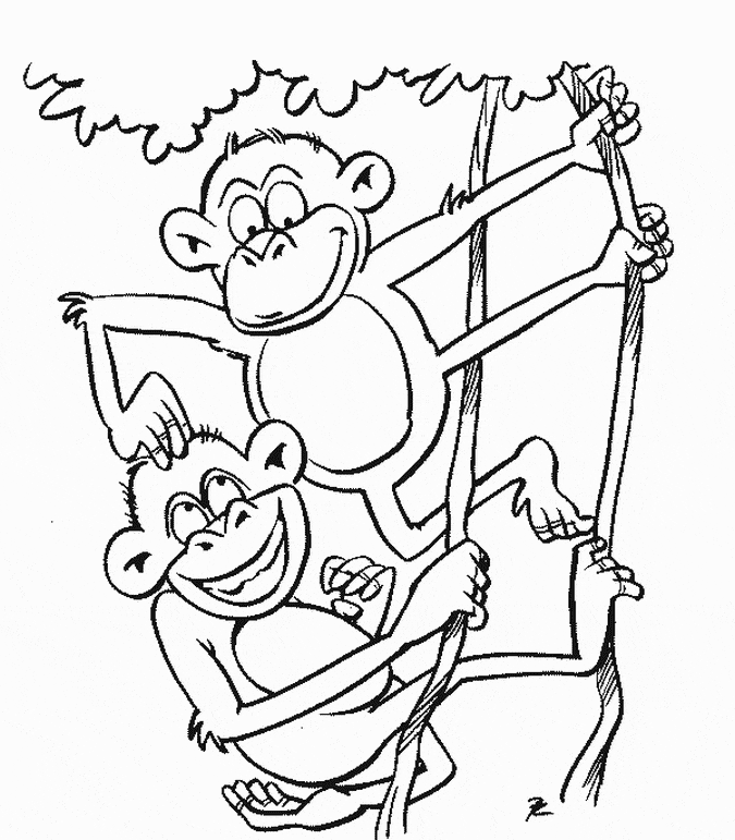 Monkey coloring #11, Download drawings