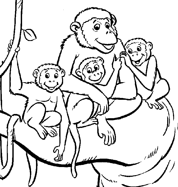 Monkey coloring #2, Download drawings