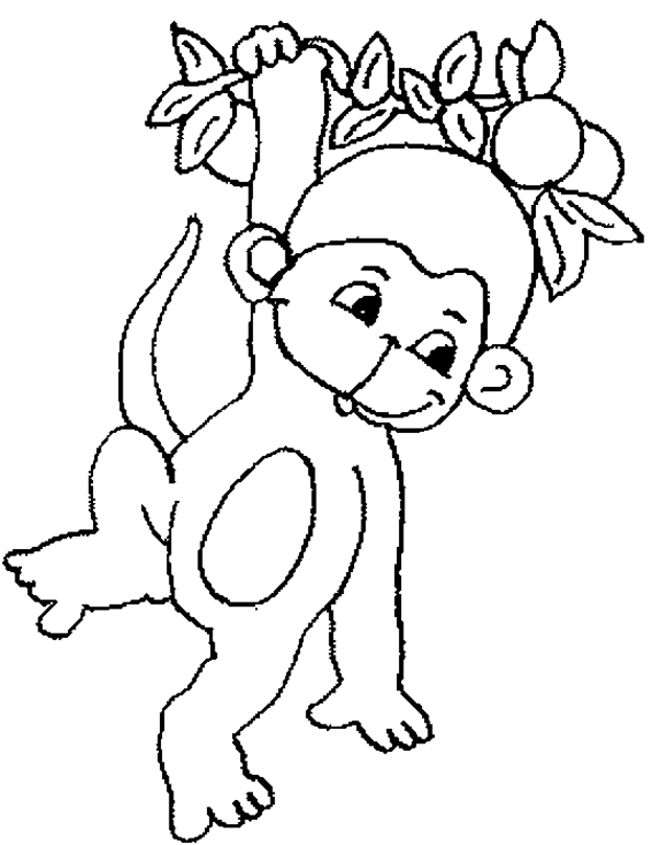 Monkey coloring #8, Download drawings