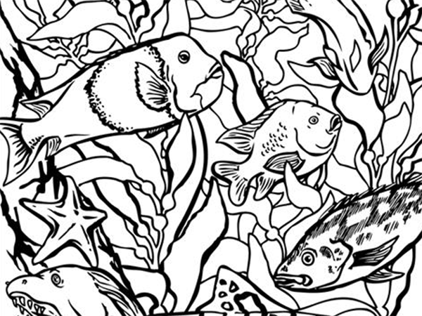 Monterey coloring #10, Download drawings