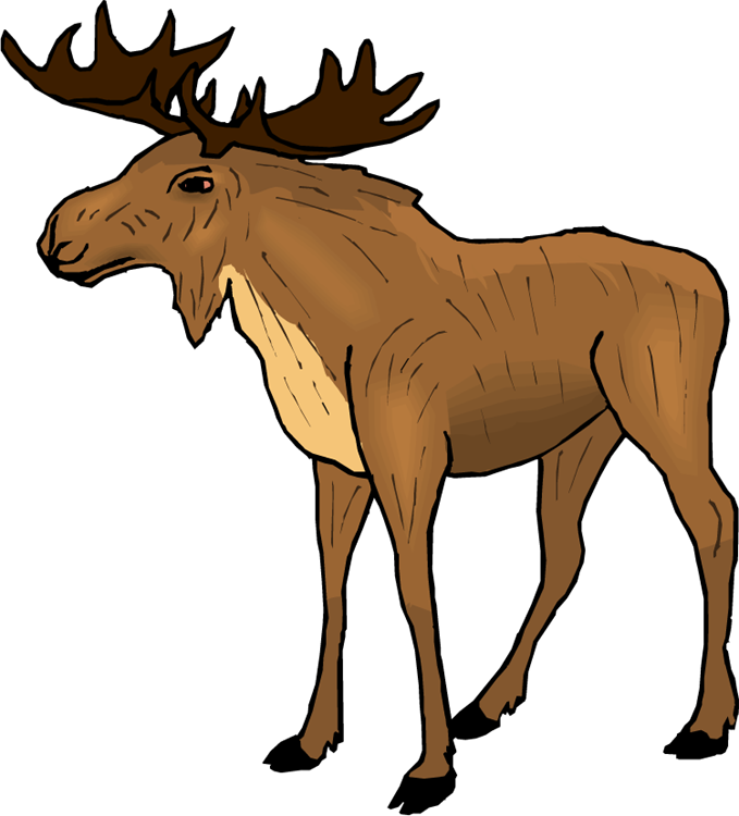 Moose clipart #10, Download drawings
