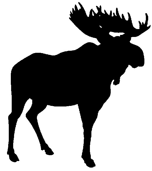 Moose clipart #6, Download drawings