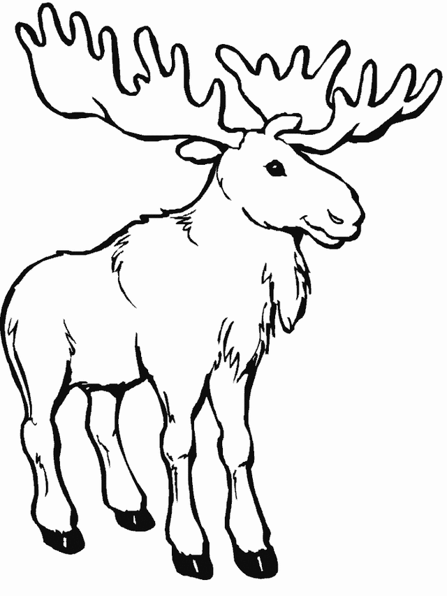 Moose coloring #20, Download drawings