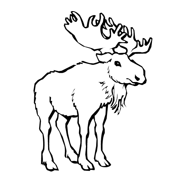 Moose coloring #1, Download drawings