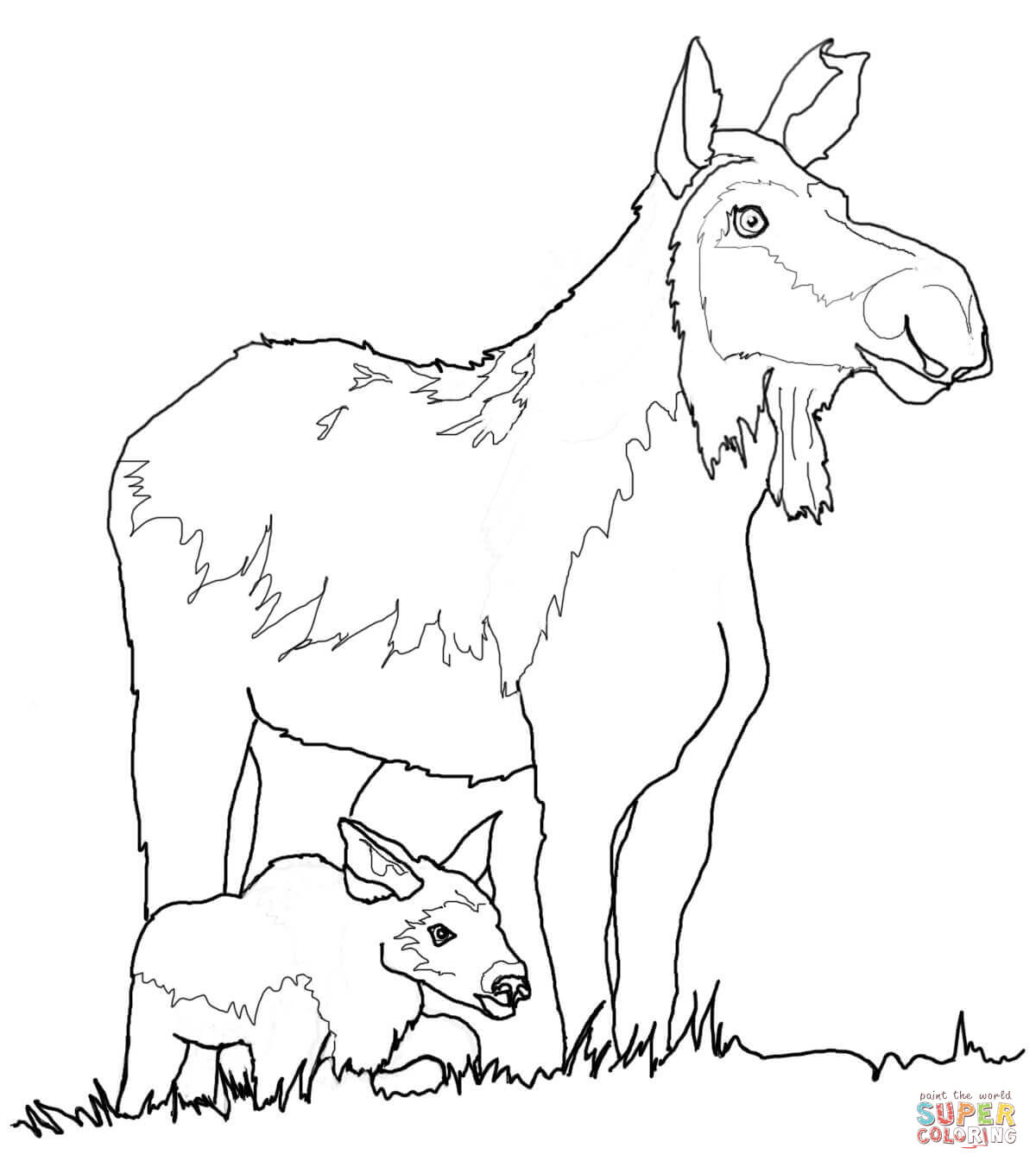 Moose coloring #3, Download drawings