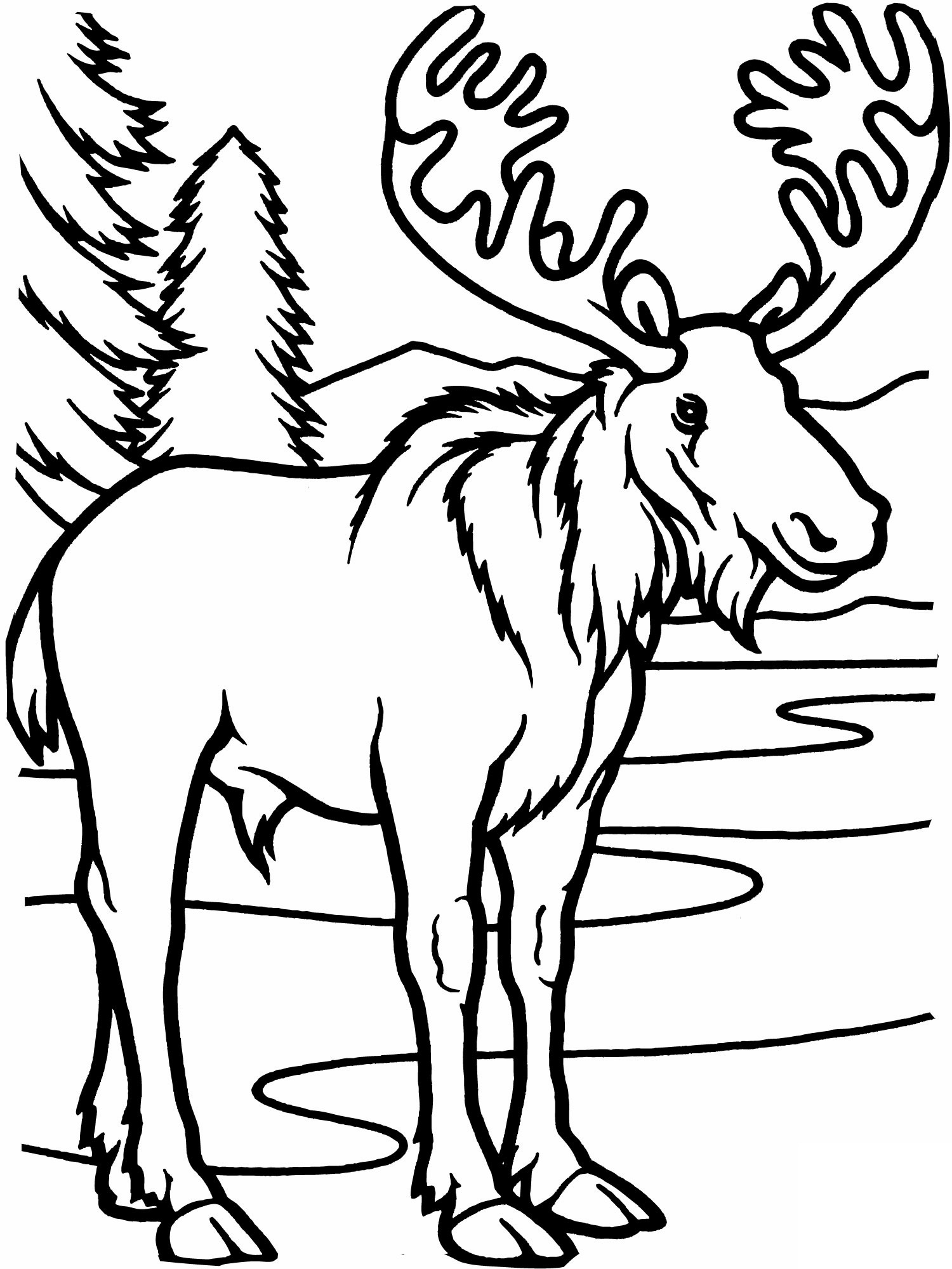 Moose coloring #14, Download drawings