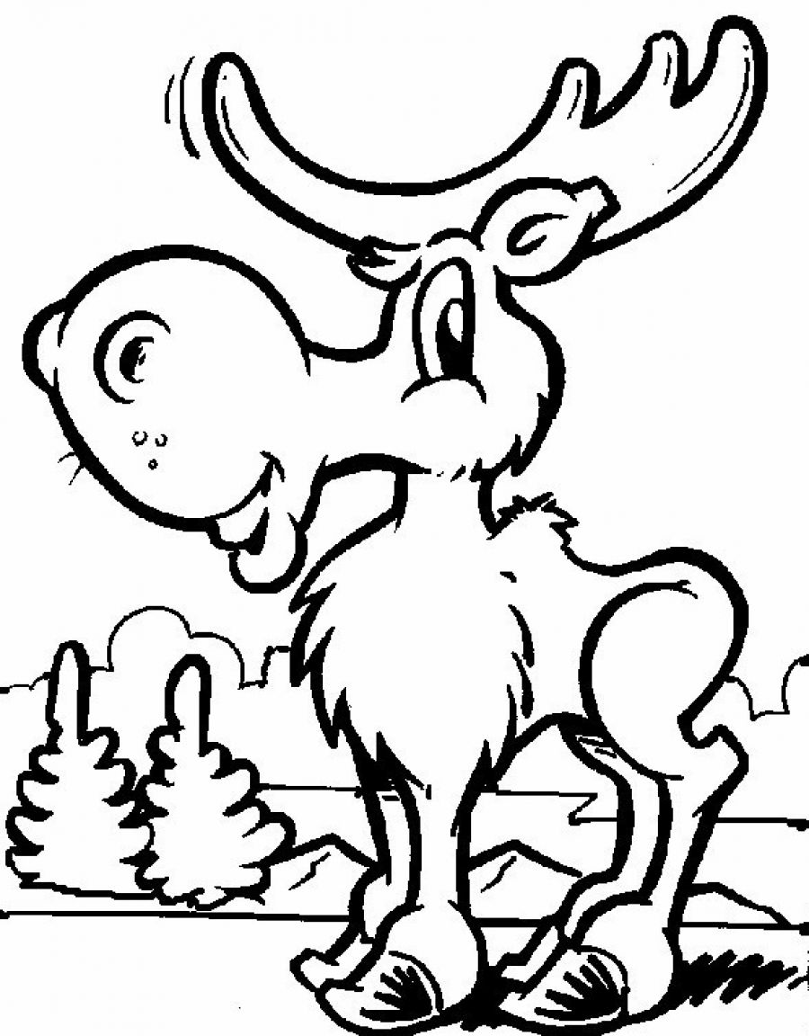Moose coloring #16, Download drawings