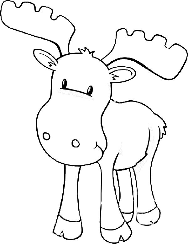Moose coloring #4, Download drawings
