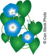 Morning Glory clipart #14, Download drawings