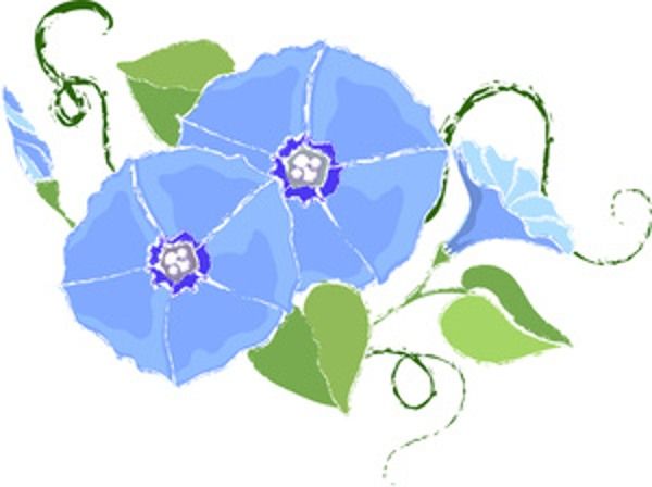 Morning Glory clipart #18, Download drawings
